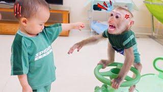 Pupu Monkey is angry and sad because Nguyen won't let him play together!
