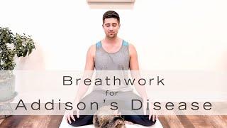 Breathwork for Addison's Disease/AI