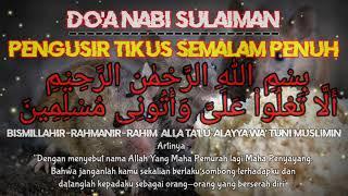 PENGUSIR TIKUS, DOA NABI SULAIMAN