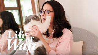 Life Of Wan: Meet my Cats!  | PENELOPE POP