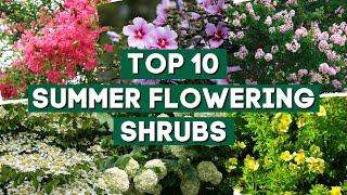 10 Favorite Summer Flowering Shrubs for Full Sun ️ // Sun-Loving Shrubs
