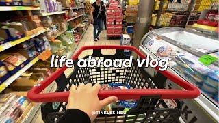 My Cost of living in Warsaw as an International Student | Grocery Shopping with me   