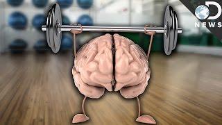 How Exercise Improves Your Memory