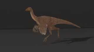 Ornithomimus animation — Running