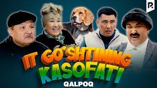 Qalpoq - It go'shtining kasofati (hajviy ko'rsatuv)