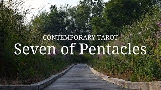 Seven of Pentacles in 3 Minutes