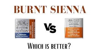 Burnt Sienna Watercolour - Winsor & Newton vs Cotman