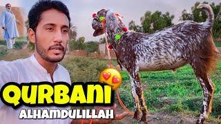 Qurbani ke liay Bakra le liya Alhamdulillah | COW Mandi 