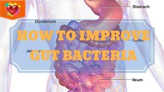 How To Improve Your Gut Bacteria