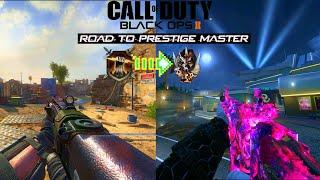 Black Ops 2 - Road To Prestige Master in 2025 | Prestige 2