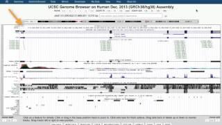 IIHG Intro to the UCSC Genome Browser | Part 1 of 5