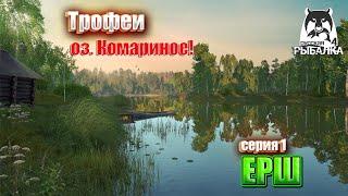 Русская рыбалка 4: Трофейный Ерш на оз. Комариное