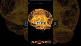 Summarize Any PDF for FREE with BLACKBOX.AI | what is Black Box AI in hindi | Black Box AI tutorial