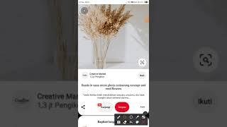 Cara melihat lisensi gambar di Pinterest