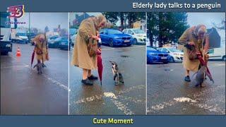 Elderly lady talks to a penguin | 3 Min News