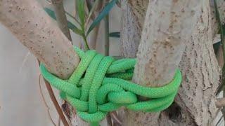 A Simple Tying starting from a bowline knot! #diy #camping #outdoors