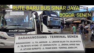 bus SINAR JAYA BUKA RUTE  BARU BARANANGSIANG TERMINAL SENEN