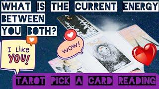 What is the current energy between you both? Tarot ! Pick a card reading