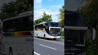 MOBIL BUS SINAR JAYA NGEBUT TELOLET BASURI #shorts #trending #subscribe