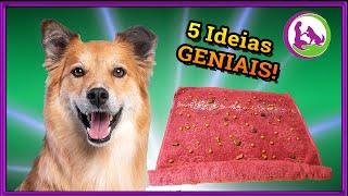 5 ideias para enriquecimento ambiental para cachorros