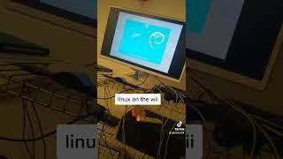 the wii linux experience