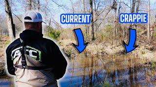 CRAPPIE FISHING A CREEK WITH CURRENT⁉️ CRAPPIE WILL ALWAYS BE HERE ‼️