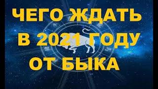 Гороскоп на 2021 год для всех знаков. Год быка. Китайский прогноз.