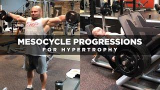 Mesocycle Progressions for Hypertrophy | Dr. Mike Israetel