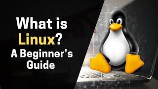 What is Linux? A Beginner’s Guide