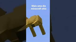 #ohio #minecraft minecraft ohio #ohio #minecraft crédito:jawFPS