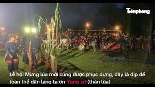 Cồng chiêng Tây Nguyên vang vọng giữa núi rừng Đà Nẵng | Tiền Phong TV