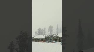 Heavy Snowfall #kashmir #snowfall #winter #mountains #travel  #pehalgam #sonmarg #gulmarg