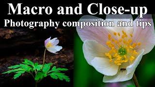 HOW TO USE Macro & Telephoto lenses for Close-up Photography
