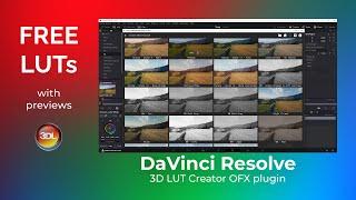 LUT Manager in DaVinci Resolve. FREE LUTs with previews in 3DLUTCreator OFX plugin.