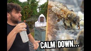 How To Calm Your Bees WITHOUT Smoke