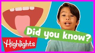 Educational Videos for Kids | 2020 | Fun Learning Videos for Kids | Did You Know? | Highlights Kids