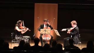 J.S.Bach BWV 988 - Goldberg Variations for String Trio