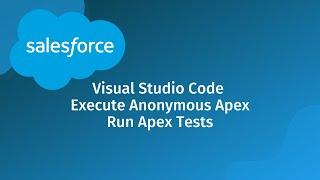 Salesforce Execute Anonymous Apex & Run Apex Tests in Visual Studio Code