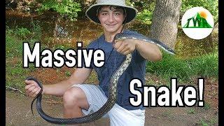 Catching And Bonding With A Massive Snake!