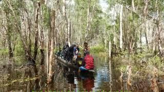 Wisata Taman Nasional Wasur Merauke