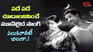 NTR and Janaki Moonlight Song | Palukaradate Chiluka Song | Shavukaru Movie | Old Telugu Songs