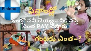 Finland లో నేను చేసిన పని|| my first work in Finland|| how much can earn for 1h...?