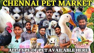 EXOTIC PETS AT BROADWAY MARKET| PETS| @gowthamirfan3858#broadwaypetmarket#petmarket#pets