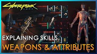 Weapons, Skills, Attributes, Perks, Hacking Explained | Cyberpunk 2077