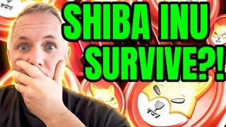 IS SHIBA INU GOING TO SURVIVE THIS CRYPTO CRASH! IT IS NOT A SHIBA INU PROBLEM! SHIBA INU NEWS!