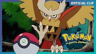 Noctowl's Hypnosis | Pokémon: The Johto Journeys | Official Clip