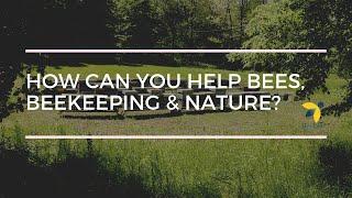 How can You Help Bees, Beekeeping & Nature?