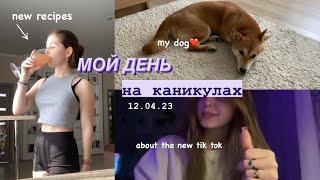 МОЙ ДЕНЬ НА КАНИКУЛАХ//влог