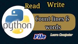 Python : Count lines and words in a file