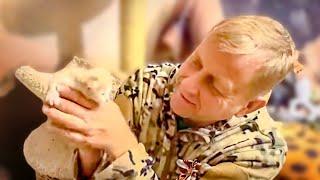 Олег Зубков нашел кошку МонуЛизу уже за пределами парка и вернул ее детям-котятам и носушатам!